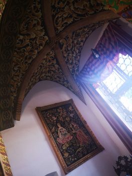 IMG_20220507_104411