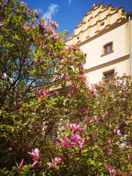IMG_20220507_114151
